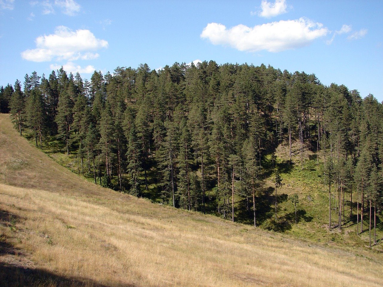 kupovina stana, stan na planini, zlatibor